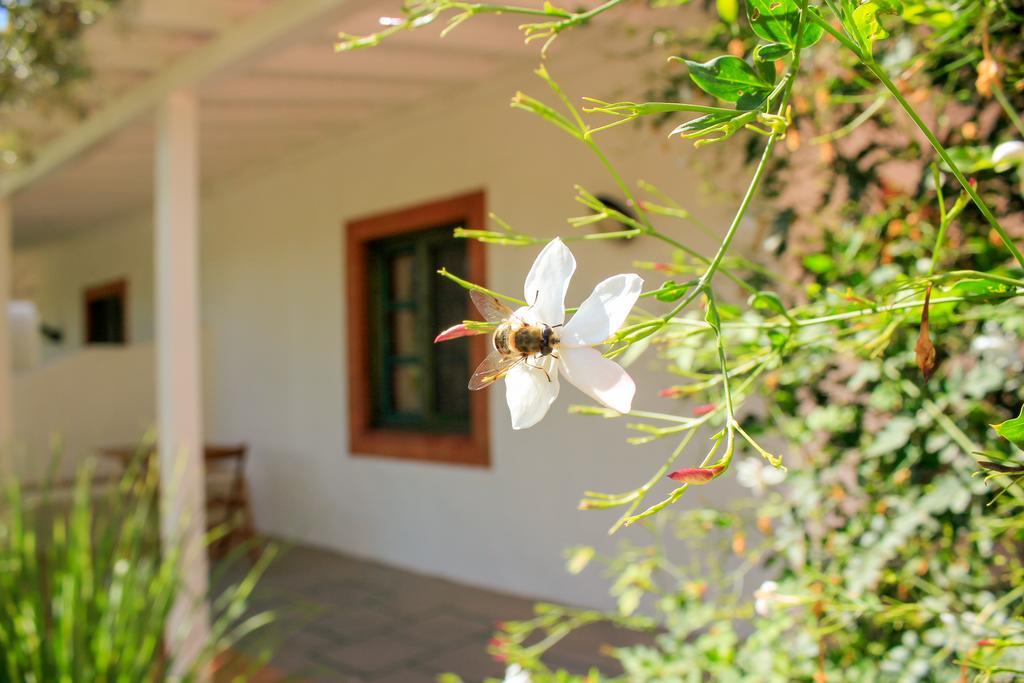 Fazendinha - Tavira - Spacious And Tranquil Hotel Екстериор снимка